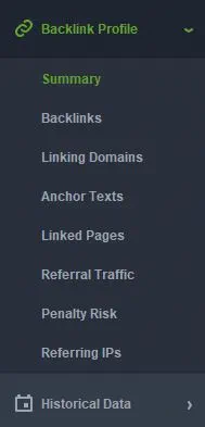 Off site optimizacija revizija